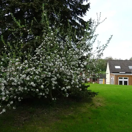 Goedenraad