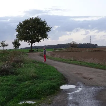 Goedenraad