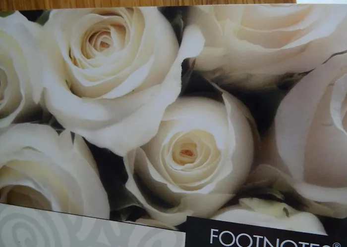 Goedenraad Bed & Breakfast