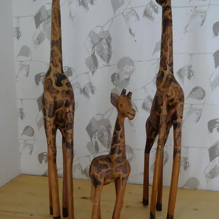 Bed & Breakfast Goedenraad *